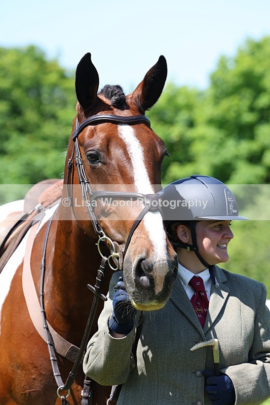 3E7A7361 - Class 30: Novice Working Hunter