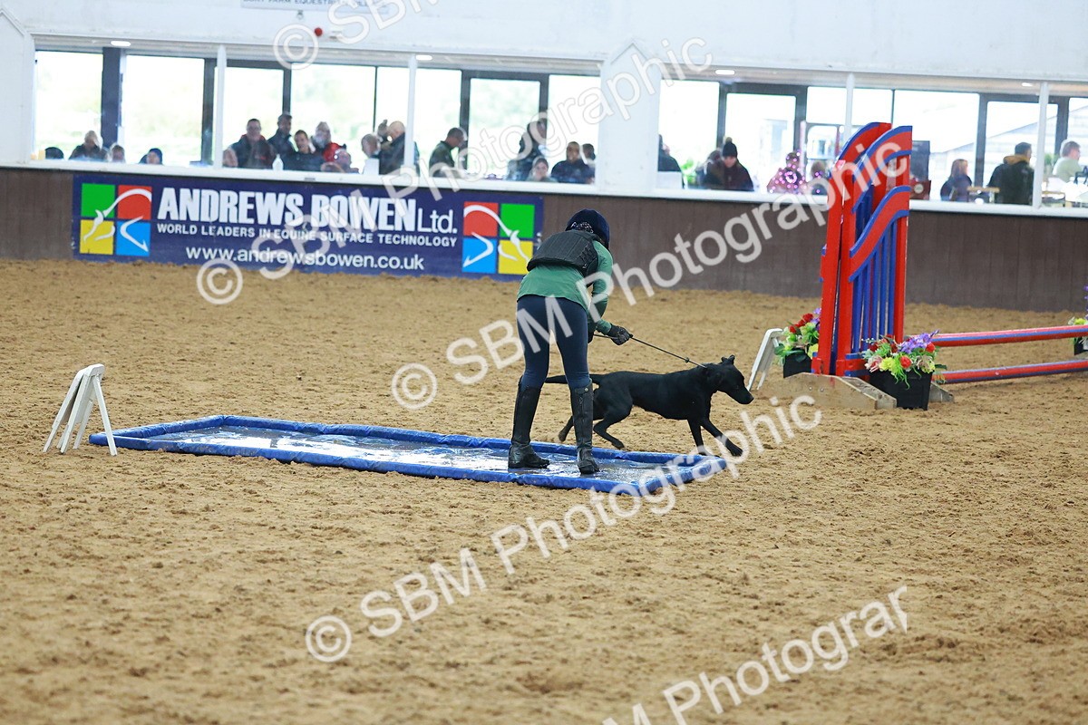 SBM_002416 - Class 3 - Horse & Hound (60cm)