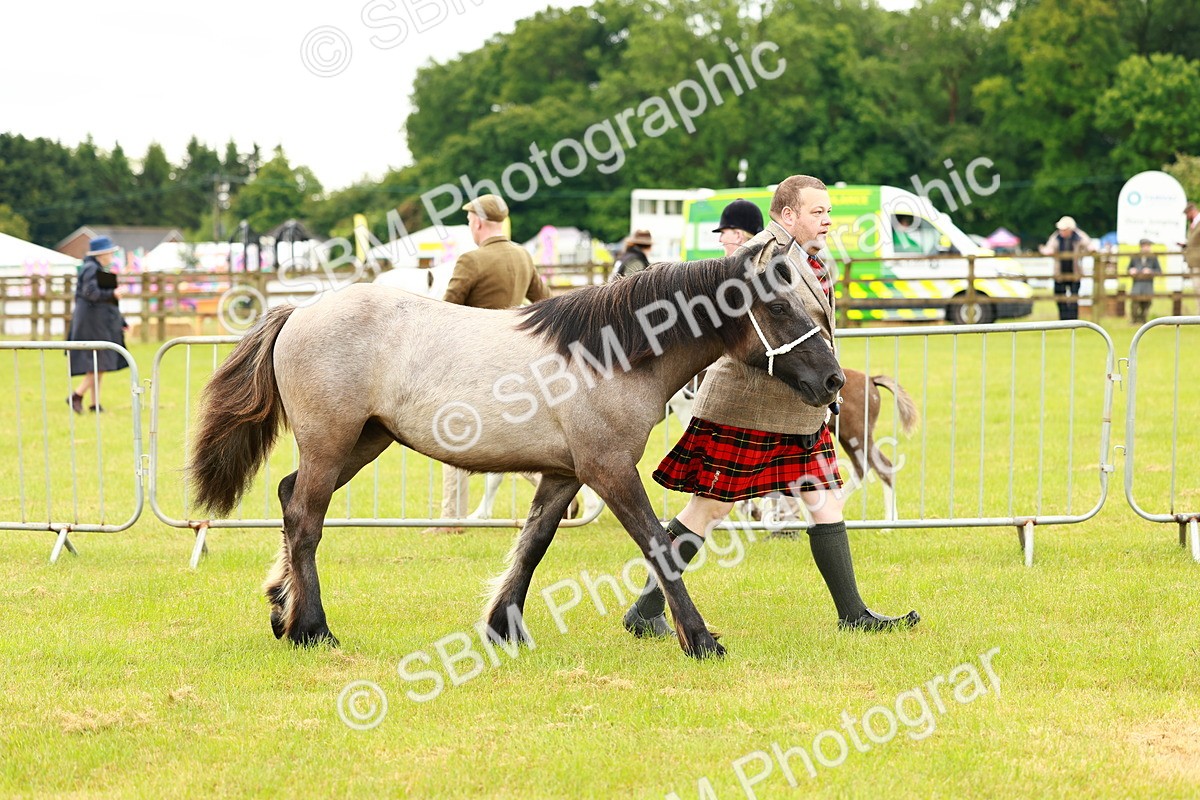 SBM_00343 - Class 58-67 - M&M Non Welsh Pony In hand