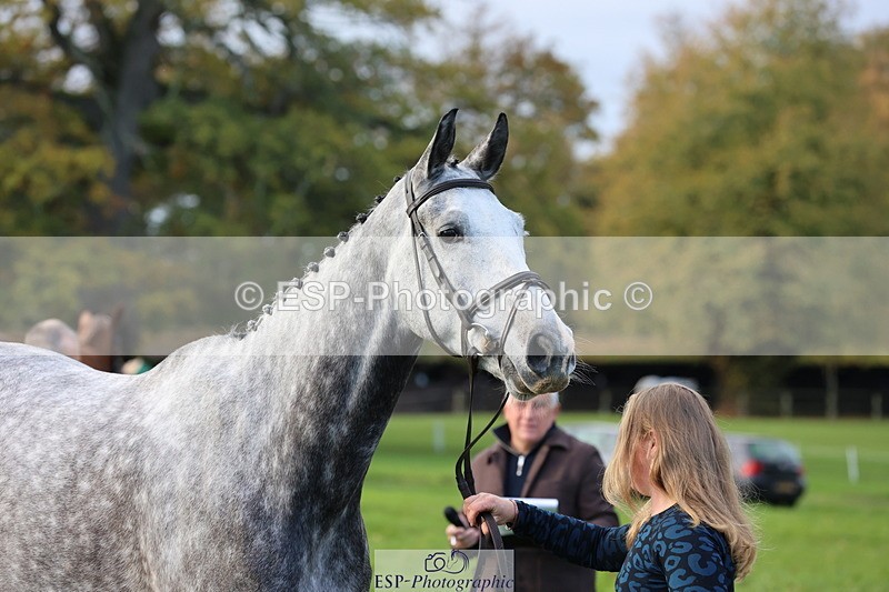 251026A-100024-22658 - D-360-Hannah.Norvill