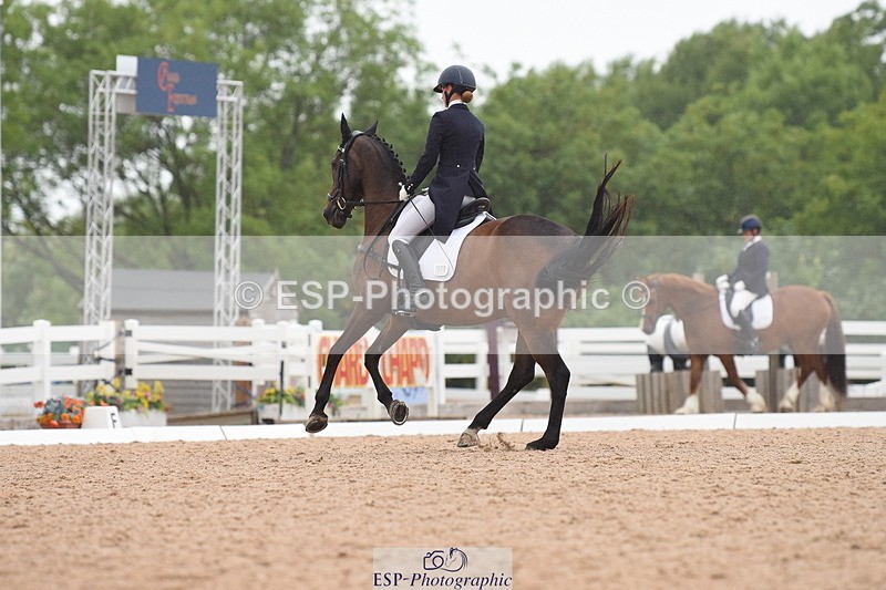 230630A-131124-02643 - Cls 16+17 Advanced 101+105