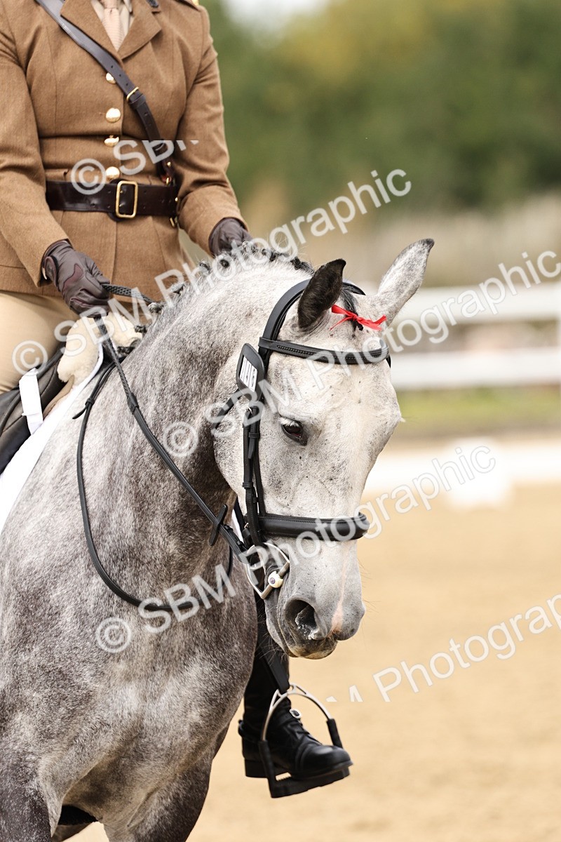SBM_013027 - Class 3 - Novice 4 - 11.43-12.25
