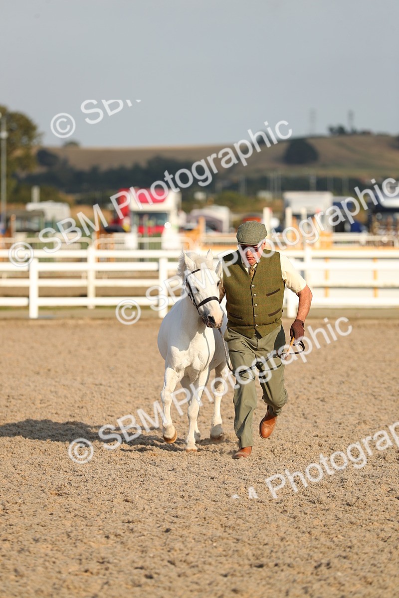 SBM_09024 - Class 29 IH Veteran Pony