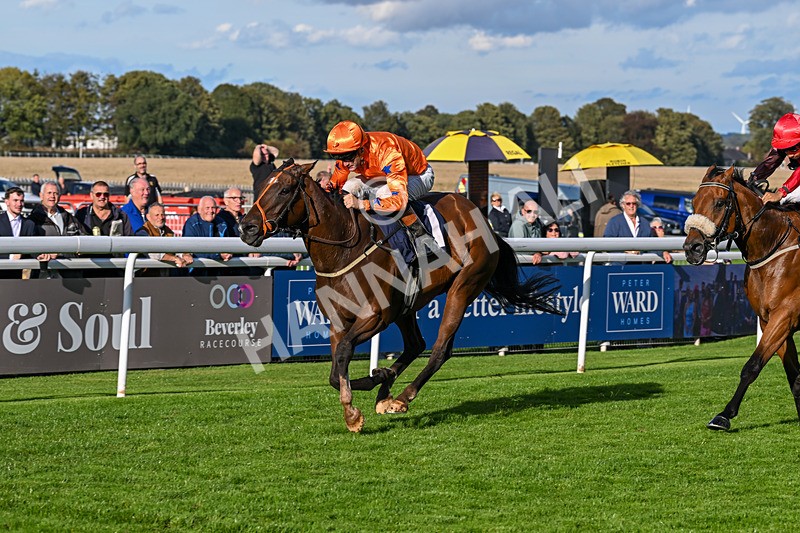 170925-Race 6-Elegant Erin-5805 - Race 6
