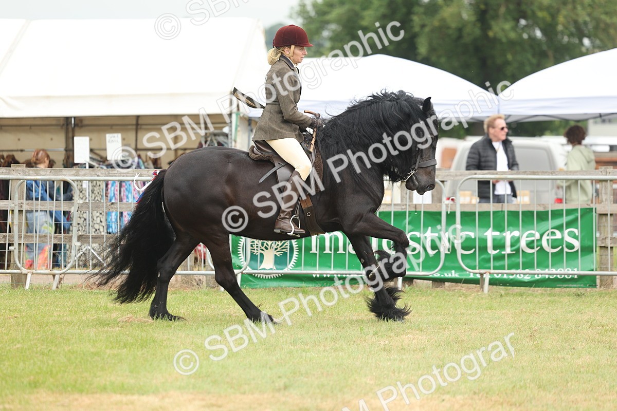 SBM_08949 - Class 78-80 - Ridden M&M Non Welsh Ponies