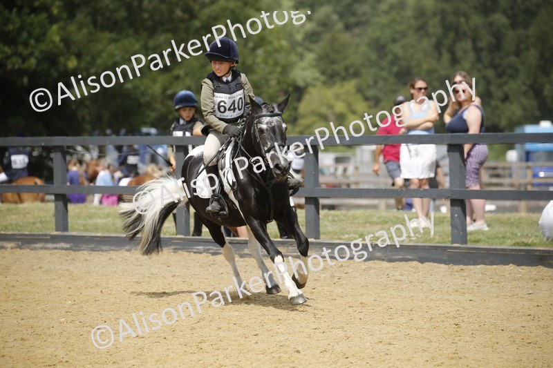 20250622-4052 - 50cm