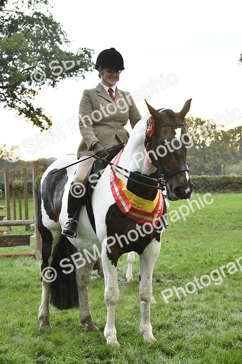SBM_53333 - S14 - Riding Club Horse