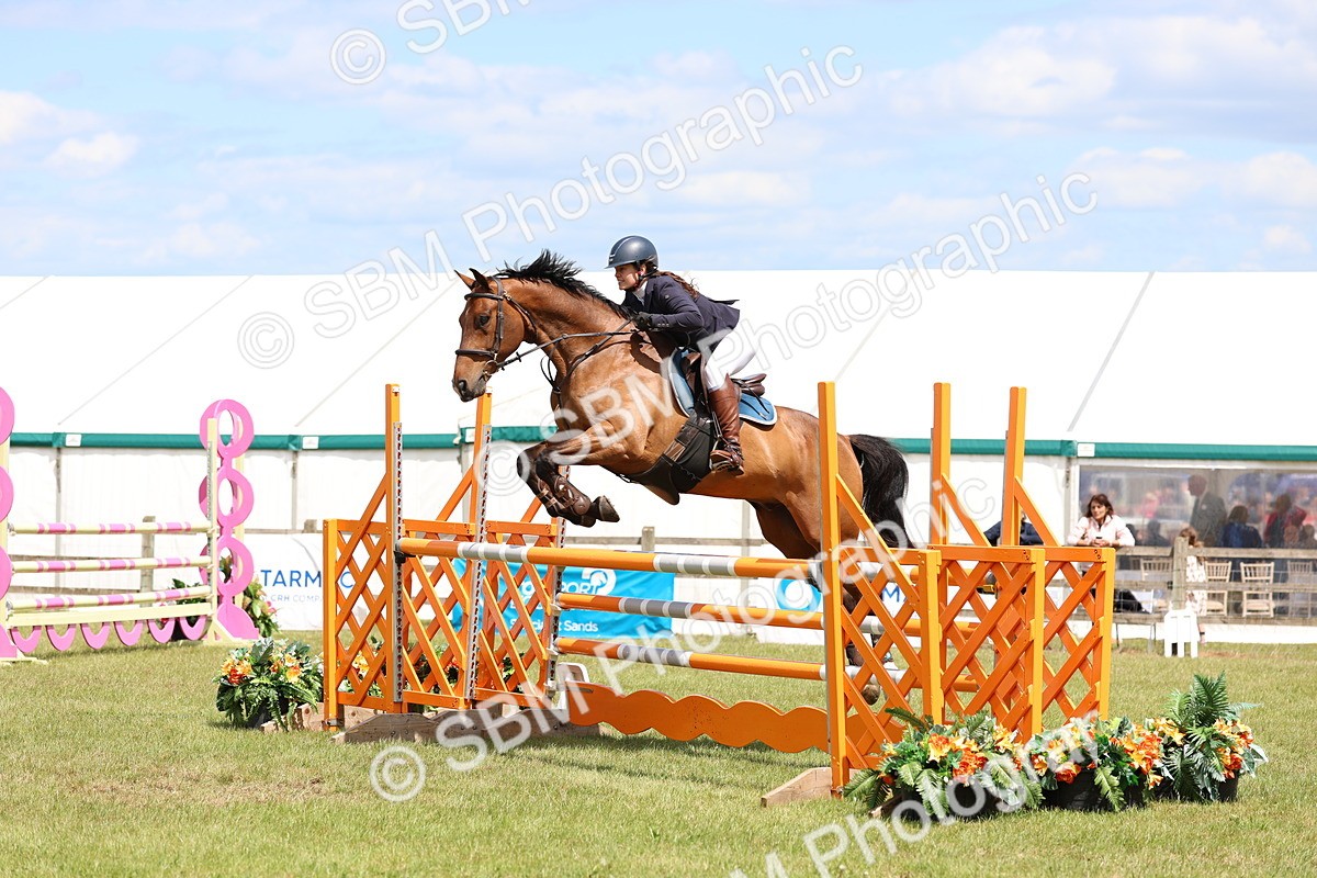 SBM_15539 - Class 207 - Senior 1.15m Open