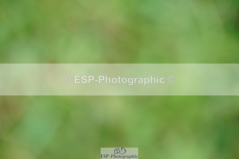 240802A-161122-05718 - Cls 19 National 1.30m Open