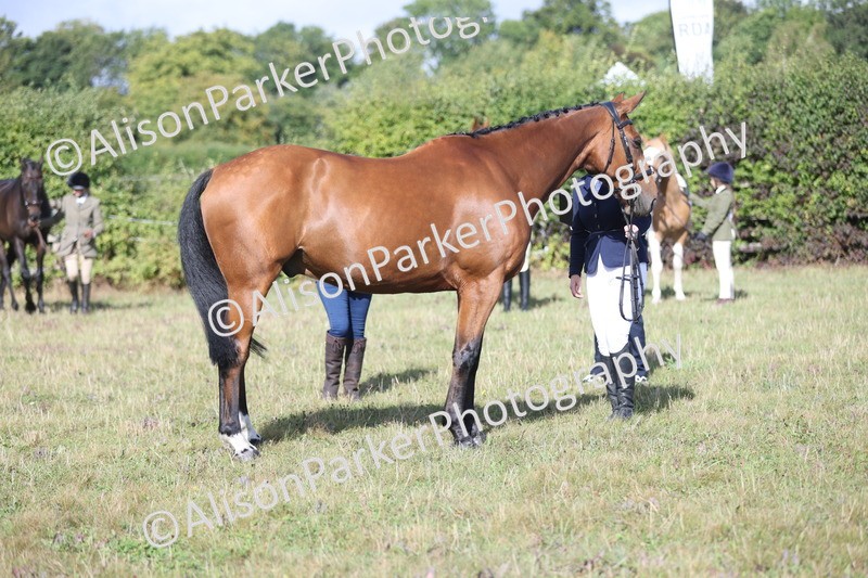 20250831-1402 - Class 21 - Inhand Open