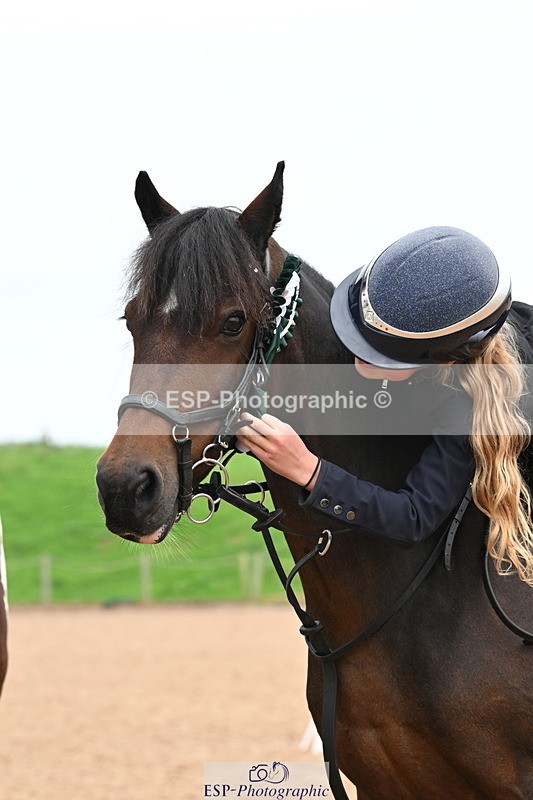 240907A-131915-01948 - Cls 3 Pony Medium Team 80cm & 90cm