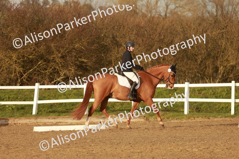 20260314-6470 - CT7 - Elementary 2