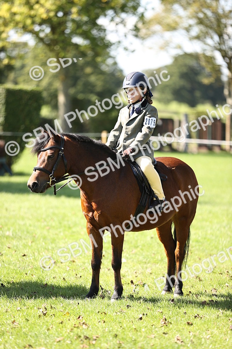 SBM_19357 - S3 - TSR Ridden Pony Showing