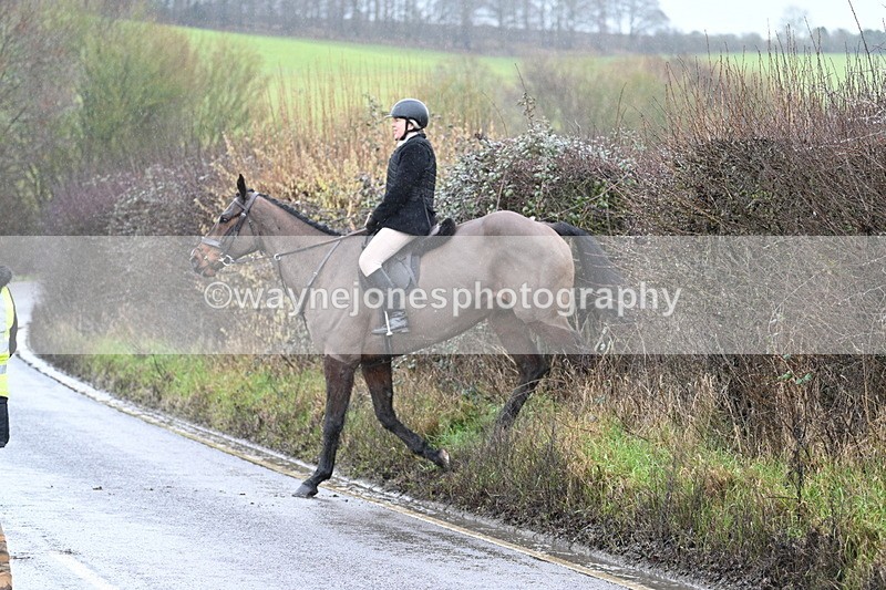 WJ7_6969 - Crossing A Camera