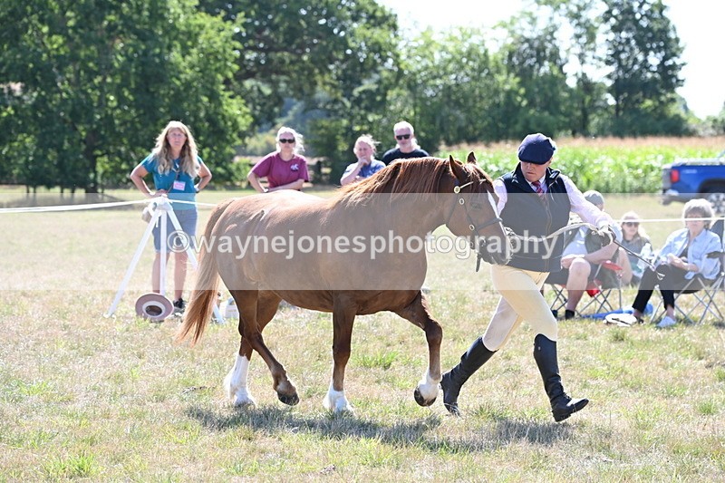 WJ6_4838 - Class 17 Mountain & Moorland