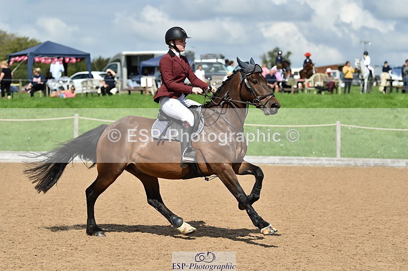 230902A-140516-01596 - Cls 3B Pony Medium 90cm