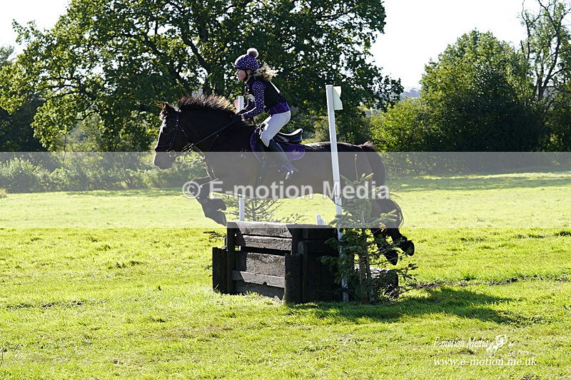  WWHT 031021 1305 - Open Novice (0.80m) 03/10/21