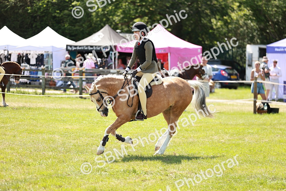 SBM_15674 - Class 108-109 - BSPS LIHS Open Gradle & Nursery Stakes
