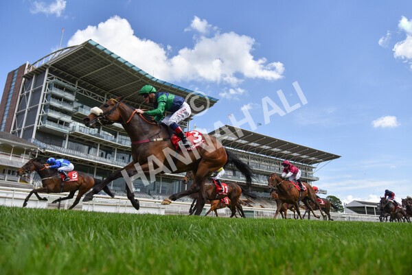  - Race 3 2.40pm The Matchbook Betting Podcast Hambleton Stakes