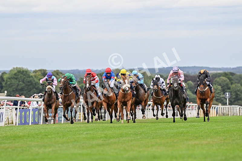 150824-Race 6-Captain Corelli-4407 - Race 6