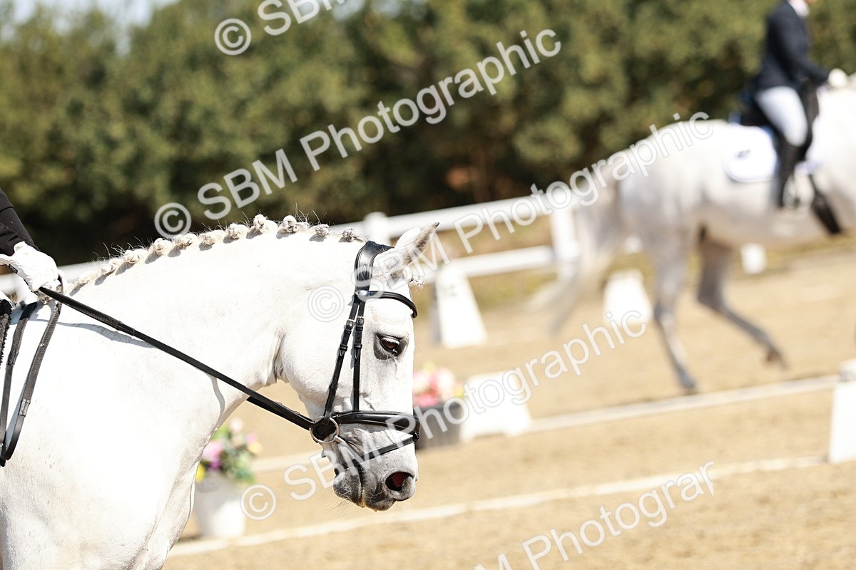 SBM_017426 - Class 10 - N5 Silver 10.43.11.29