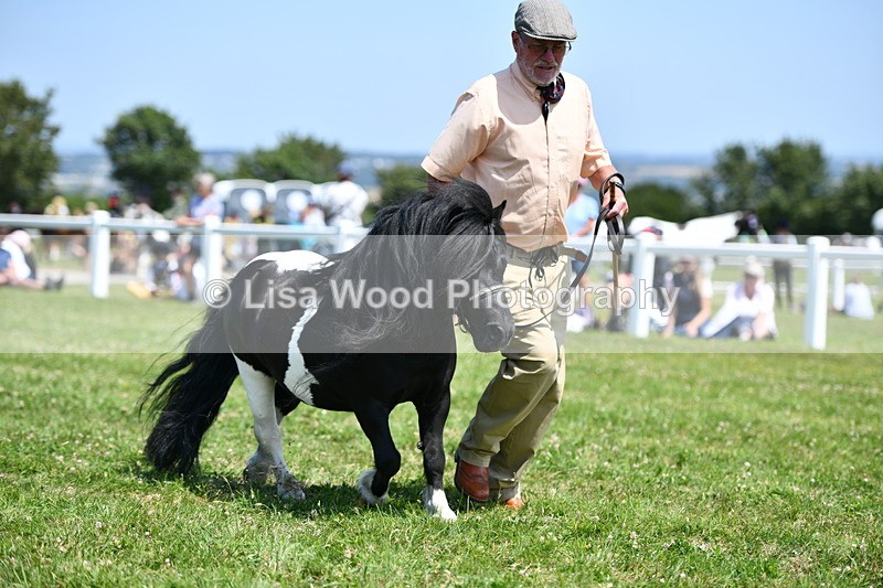 DSC_7716 - Class 64: Coloured Pony 4yrs & over