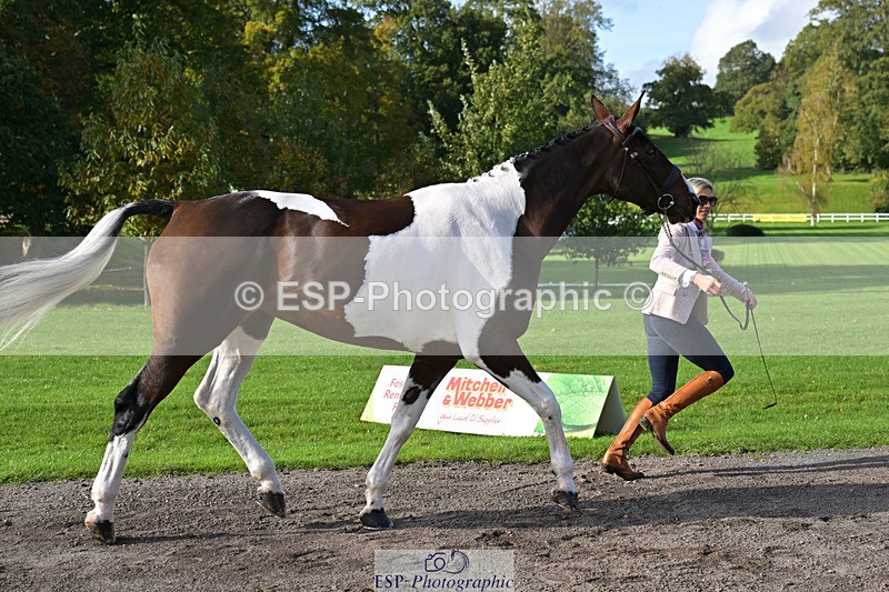 241023-130615-00072 - 004-Claire.Deuten-FOXRIDGE.HIGH.JINX