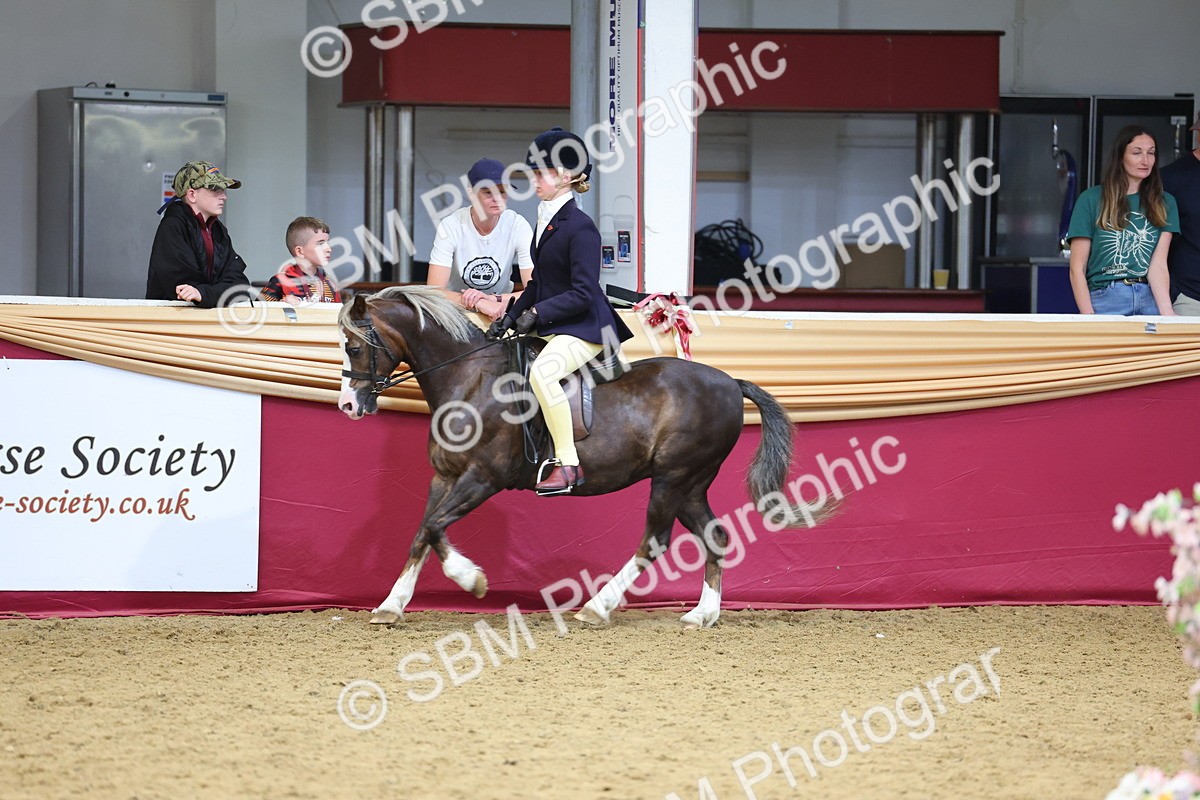 SBM_23595 - Class 904 - Supreme Final Ridden Diamond