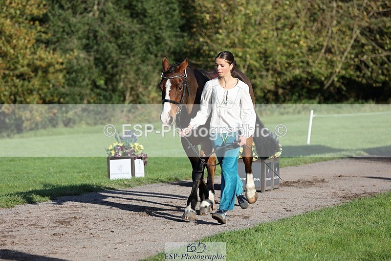 241027-091929-15208 - 375-Erin.Brown-50.SHADES.OF.BAY