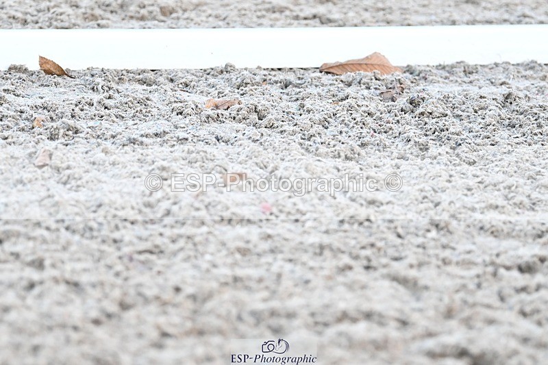 231110-155844-02406 - Cls 11 FEI PSG