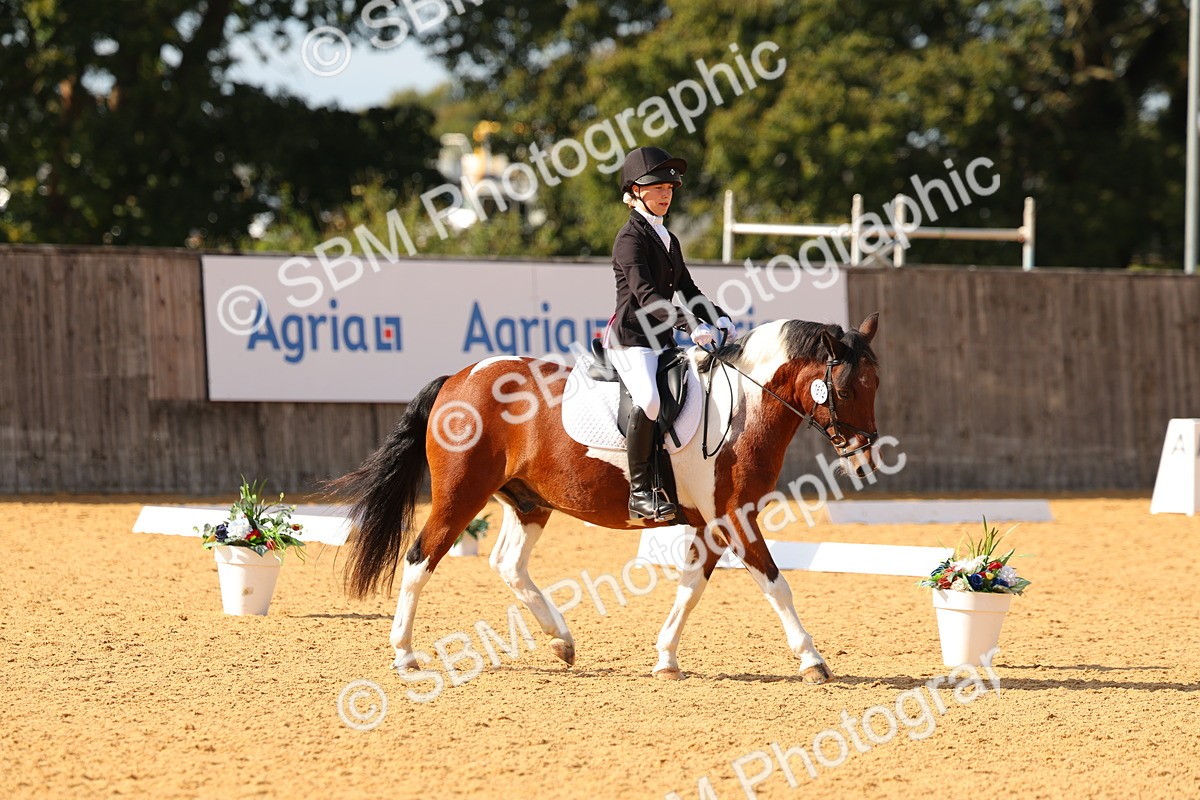 SBM_48426 - D6 - Small Tour Championship - Intro C