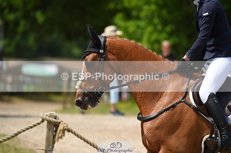 230528-122506-15690 - 378-CLASS_SPEC-Susie_Eddis-SUNTrotUp+SJ