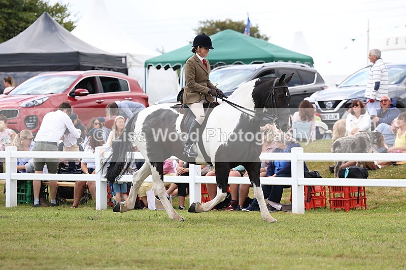 3E7A1849 - Class 10: Open Cob