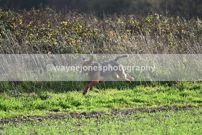 WJ7_3490 - Camera A