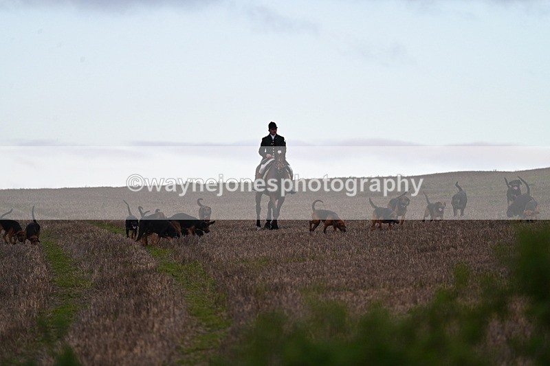WJ7_9808 - Camera 1 & Last fence