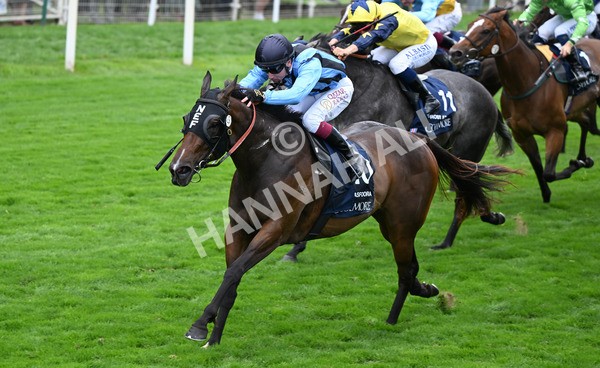 220825-146 Asfoora - Race 4 3.35pm Coolmore Wootton Bassett Nunthorpe Stakes