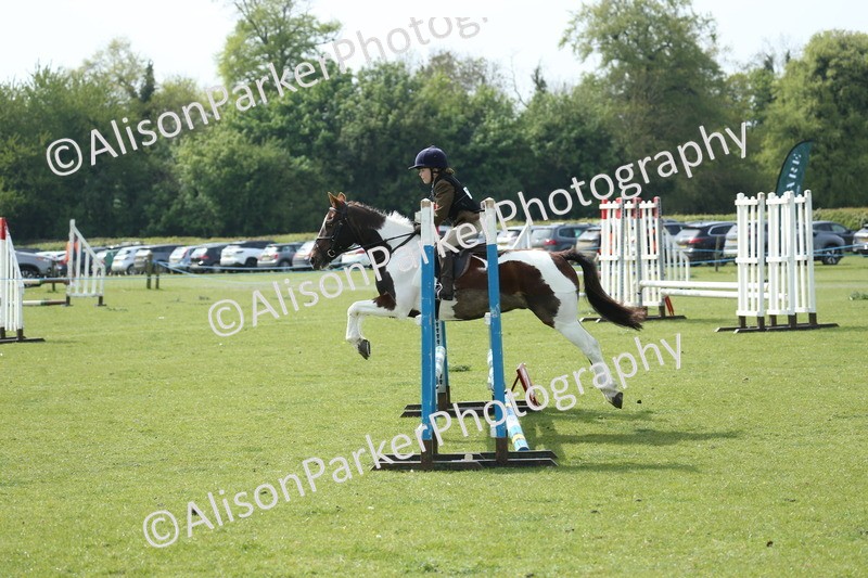 20260426-1589 - Class 14 - Novice 60cm