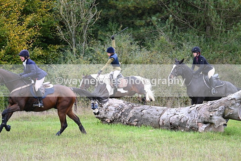 WJ7_3765 - Camera 1 Line 1