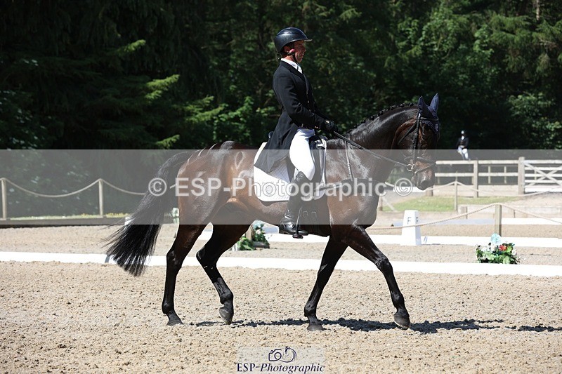 230526-103535-05291 - 362-SPIRIT'S_GEMINI-Harry_Dzenis-WEDTrotUp+DR