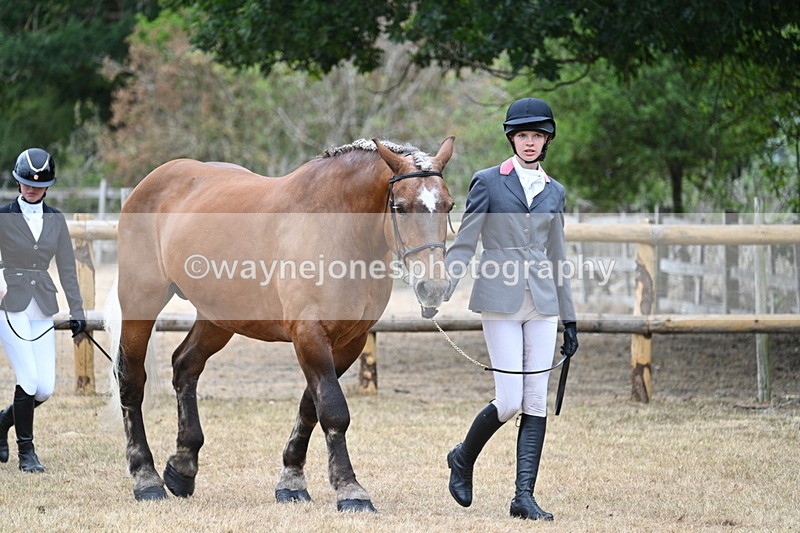 WJ7_8690 - Class 4a Prettiest Mare 14.2hh and over