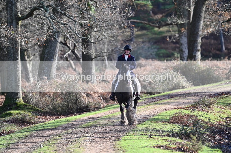 WJ7_7770 - Line 3 (no line 4 or 5)