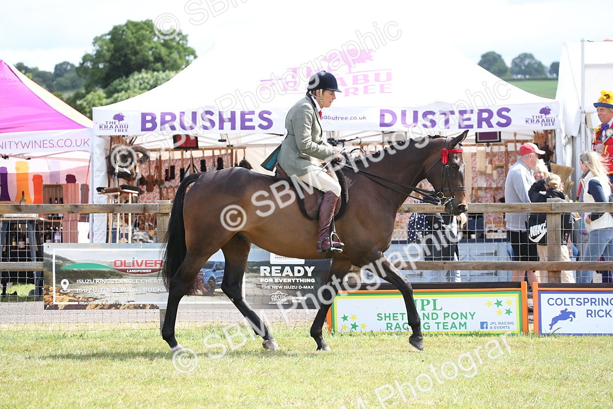 SBM_13177 - Class 95-96 - LIHS BSHA Rising Star Hack Riding Horse