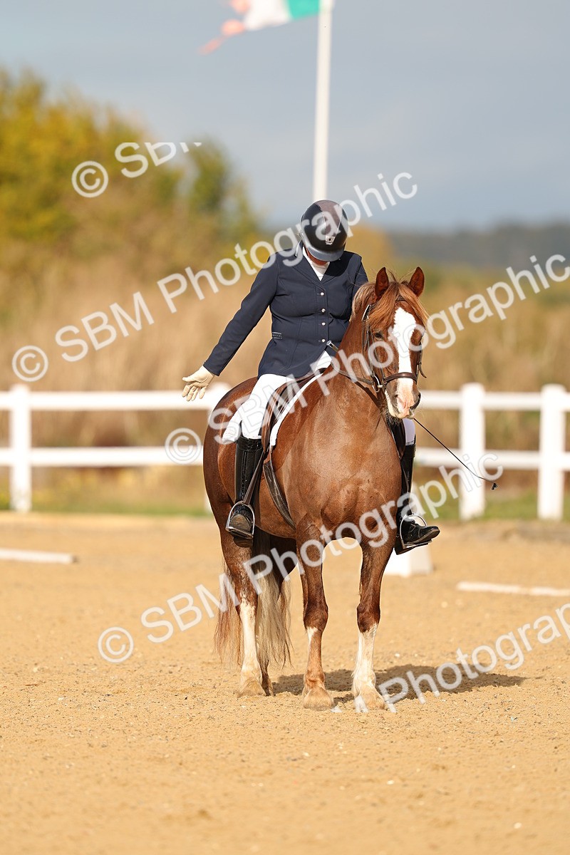 SBM_009311 - Class 1 - P4