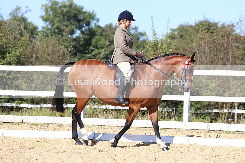 3E7A5658 - Class 10: Riding Horse