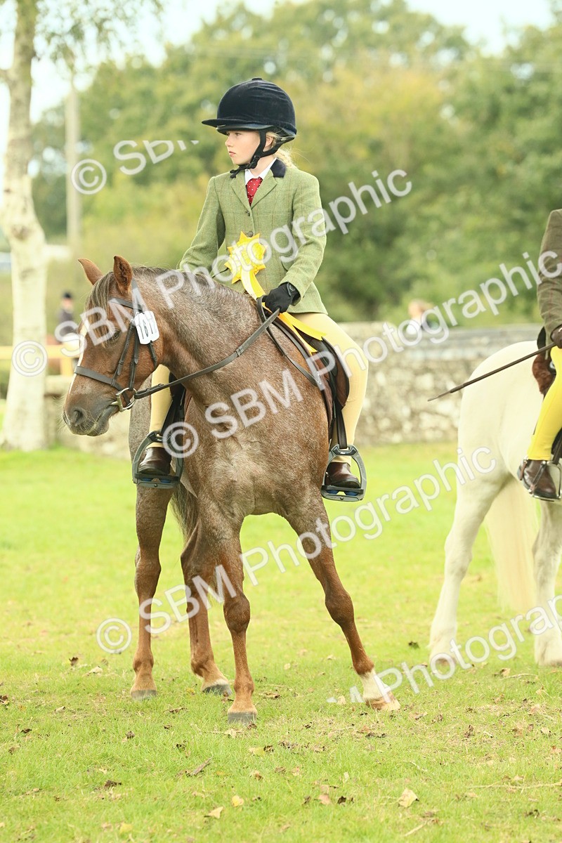 SBM_70054 - S59 - Mountain & Moorland Ridden Small Breeds