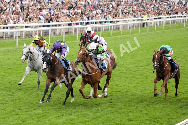 yr24072021r5-50 - Race 5 4.25pm Sky Bet Best Odds Guaranteed Stakes