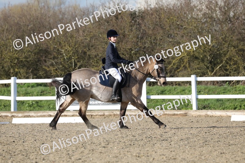 20260314-5933 - DR9 - PYO