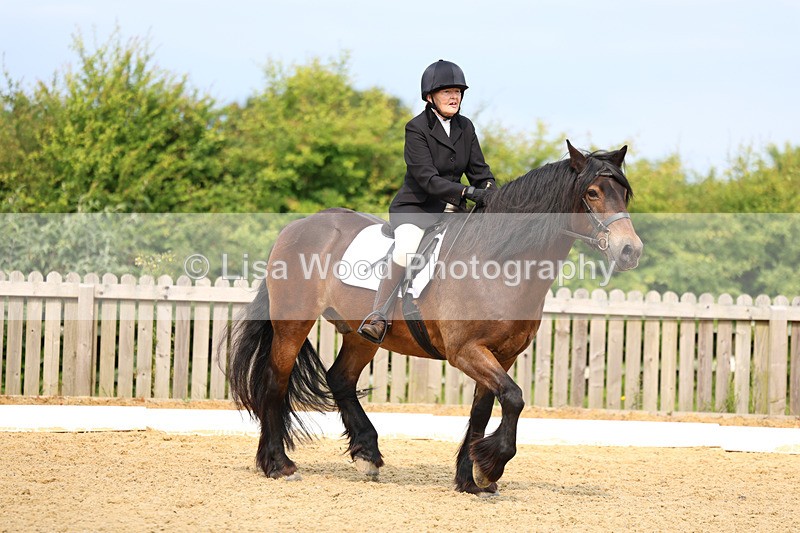 3E7A9025 - Class 1: Intro 1 2024 Section A