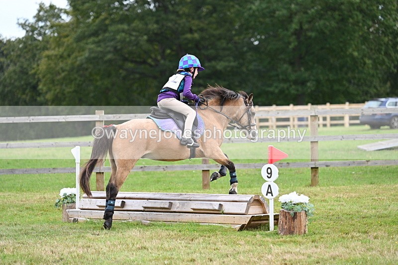 WJ7_7178 - 40cm Time 10:06 to 10:24