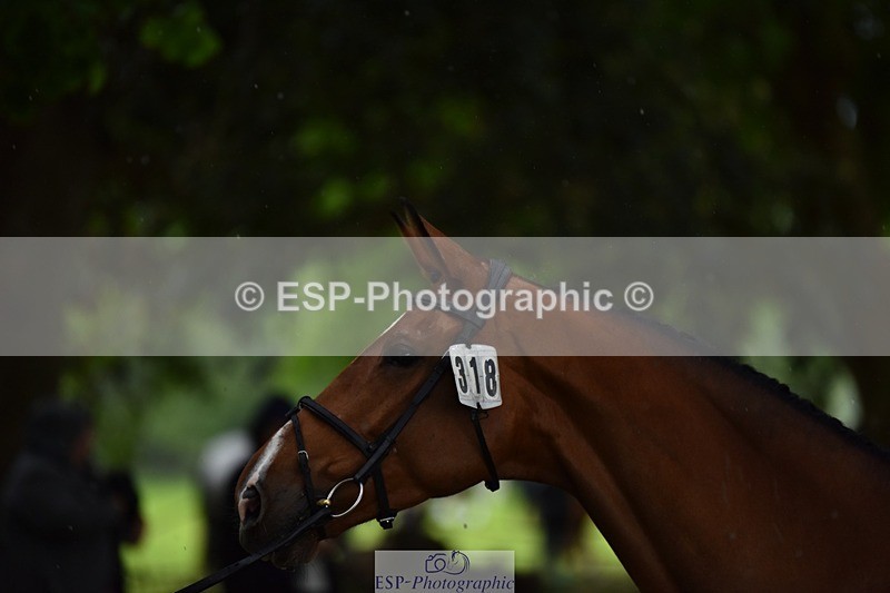 240522-151014-00133 - 318-LILO_TR-Marcio_Carvalho_Jorge